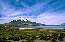 Lake Chungara, highest lake in the world at 4,500m and snow-capped Parinacota volcano, altiplano, Lauca National Park, Chile.