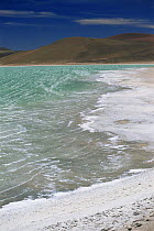 The green waters of Laguna Verde with extinct Inca volcano Licancabur behind, Andes, Bolivia