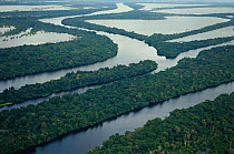 Anavilhanas archipelago, meandering Amazon river, Amazonias, Brazil.