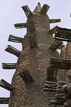 Mosque with platforms used for annual mud plastering, Mali, West Africa