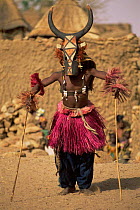 Dogon masked dancer, Mali, West Africa