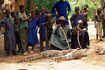 Dogon crocodile keeper, Mali, West Africa.  The crocodile is the first symbol of Dogon, they have a ancestry pact with crocodiles and protect them, even consulting them during important village decisi...