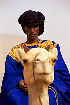 Fulani man on camel, Mali, West Africa