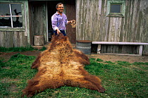 Park warden with Kamchatka Brown bear skin {Ursus arctos beringianus} Vestnik bay, Kamchatka, Russia