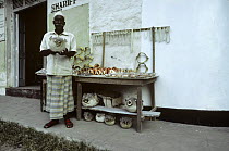 Stall selling curios taken from the sea including pufferfish and shells, Mombassa, Kenya