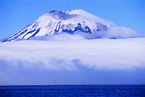 Amukta Island with volcano looming above clouds, with Northern fulmars in flight below, Aleutian Islands, Alaska, USA