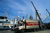 Unloading Tuna off Japanese fishing boats marked as  'Research vessel'. Phuket, Thailand.