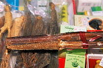 Tiger penis for sale in Chinese medicine shop Penang, Malaysia