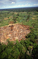 Aerial view of rainforest destruction, Para, Brazil