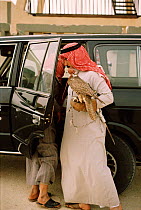 Arab falconer with his hooded bird, Saudi Arabia 1985