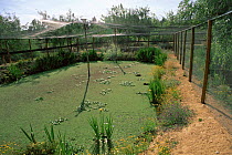 Breeding instalations for water birds, conservation effort, Sevilla, Donana, Spain