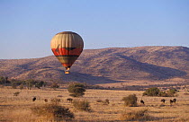 Tourists game viewing from Hot air balloon in early morning, Pilanesberg NP, South Africa