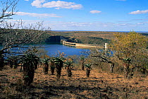 The Jozini Dam, Kwa-Zulu-Natal, South Africa