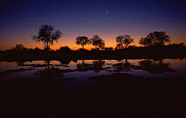 Sunset over river with new moon, Moremi Wildlife Reserve, Botswana.