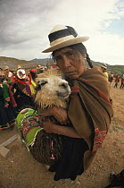 Quechua wedding with man and domestic Llama in traditional wear, Bolivia, South America