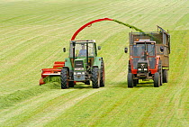 Cutting grass for silage production, Angus, Scotland, UK