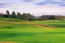 Golf course, Edzell, Angus, Scotland