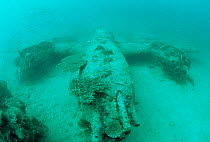 Aeroplane wreck underwater, Truk lagoon, Papua New Guinea