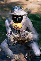 Man impersonating Hanuman langur monkey, New Delhi, India