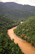 Aerial view of river in rainforest, Papua New Guinea