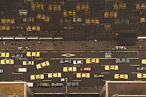 Aerial view of yellow taxi cabs and other traffic reflected in glass of skyscraper in New York city, USA