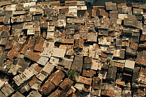 Aerial view of Bombay shanty town, Maharashtra, India