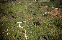 Aerial view of recent rainforest deforestation, recently cleared for agriculture, Amazon Brazil, South America