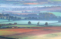 Dawn in the Blackmore vale, Dorset, England.
