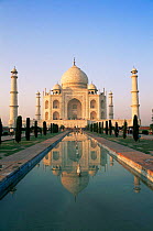 Famous Taj Mahal in early morning light, Agra, Uttar Pradesh, India
