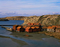 Looking down on traditional fishing village with houses on stilts to accommodate local tidal range, Bohuslan, Sweden