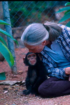 Jane Goodall with baby Chimpanzee, Gombe, Tanzania