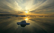 Midnight sun over Spring pack ice, Lancaster Sound, Canadian Arctic, Canada