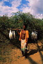 Fisherman with illegal catch, Lake Soamalipo, site of fish eagle project, Madagascar.