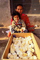 Chicks for sale, Durbar Square, Kathmandu, Nepal 2001