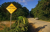 Warning sign for Christmas Island crab annual migration across roads, Christmas Island, Indian Ocean
