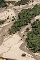 Aerial view of river with introduced Willow and Poplar trees, Arrowtown, New Zealand