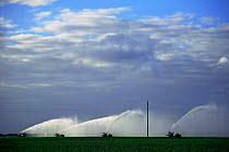 Irrigating crops from pump trucks, Florida, USA