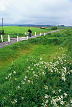 Cyclist on cycle path Bathgate, Strathclyde, Scotland