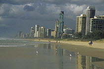 Surfers Paradise beach New South Wales, Australia
