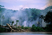 Deforestation - smoke from fires in Amazon rainforest along river bank, Ecuador, South America