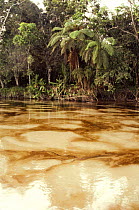 Oil pollution of Napo river, Amazonia, Ecuador, 1992