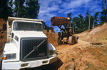 Road construction for oil exploration, Napo river, Amazonia, Ecuador