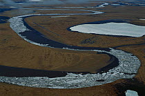 Chukochiye river aerial, Kolyma region, Siberia, Russia