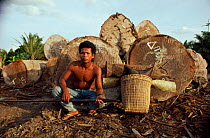 Sakai hunter sits by timber logs in rainforest, Riau, Sumatra, Indonesia