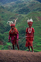 Ifugao tribal people, Philippines