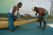 Making traditional boat from reeds, Huancaco, Peru