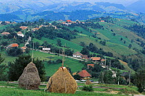 Village and haystacks nr Brasov, Bucegi mountains, Carpathian, Transylvania, Romania