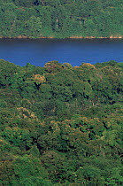 Aerial  view over tropical rainforest and river, Iwokrama Reserve, Guyana, South America