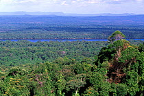 View over tropical rainforest and river, Iwokrama Reserve, Guyana, South America