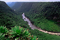 Valley down stream of Kaieteur Falls, Guyana, South America. Tropical rainforest